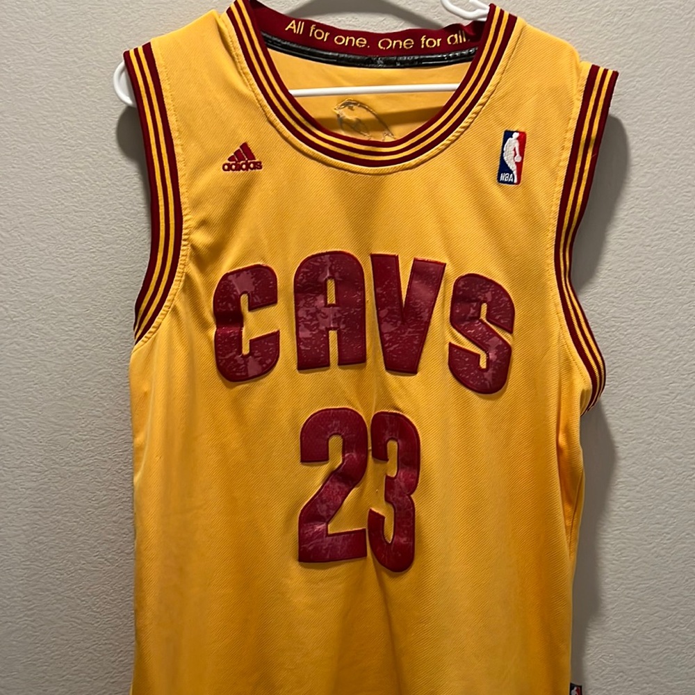 COPY - 2014-15 LeBron James Cavs Jersey